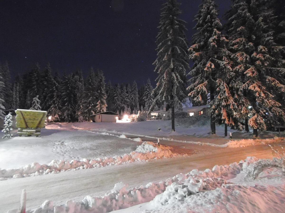 Waldhotel Rennsteighoehe フラウエンヴァルト エクステリア 写真