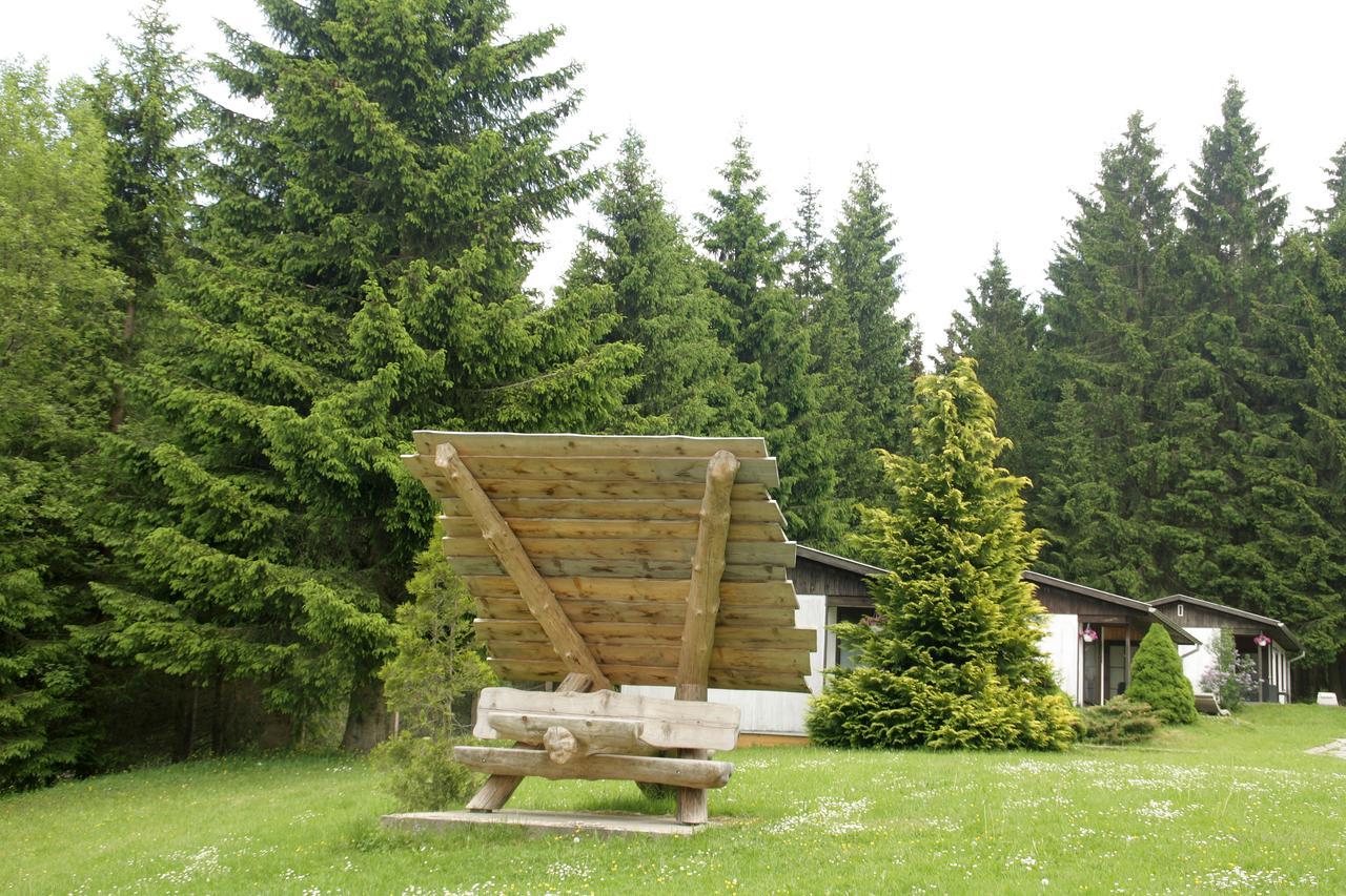 Waldhotel Rennsteighoehe フラウエンヴァルト エクステリア 写真